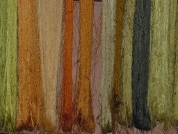 La_Palma_Lanzarote_2003-2004-001